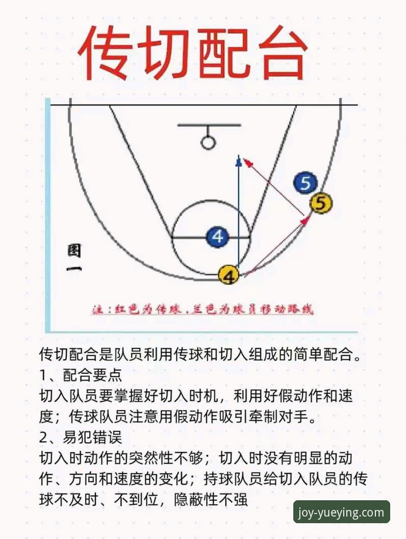 悦盈体育一站式服务安装失败 深度解析浙江加时逆转宁波的关键,从悦盈体育官网观赛必备战术知识